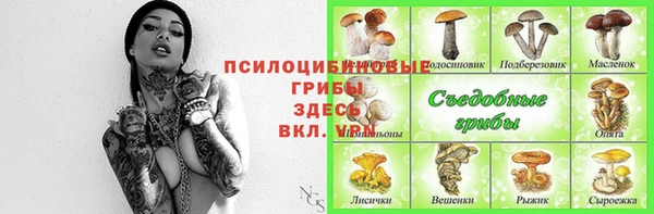 Альфа ПВП Алексин