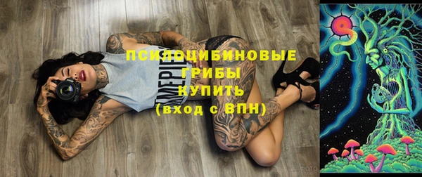спиды Алексеевка